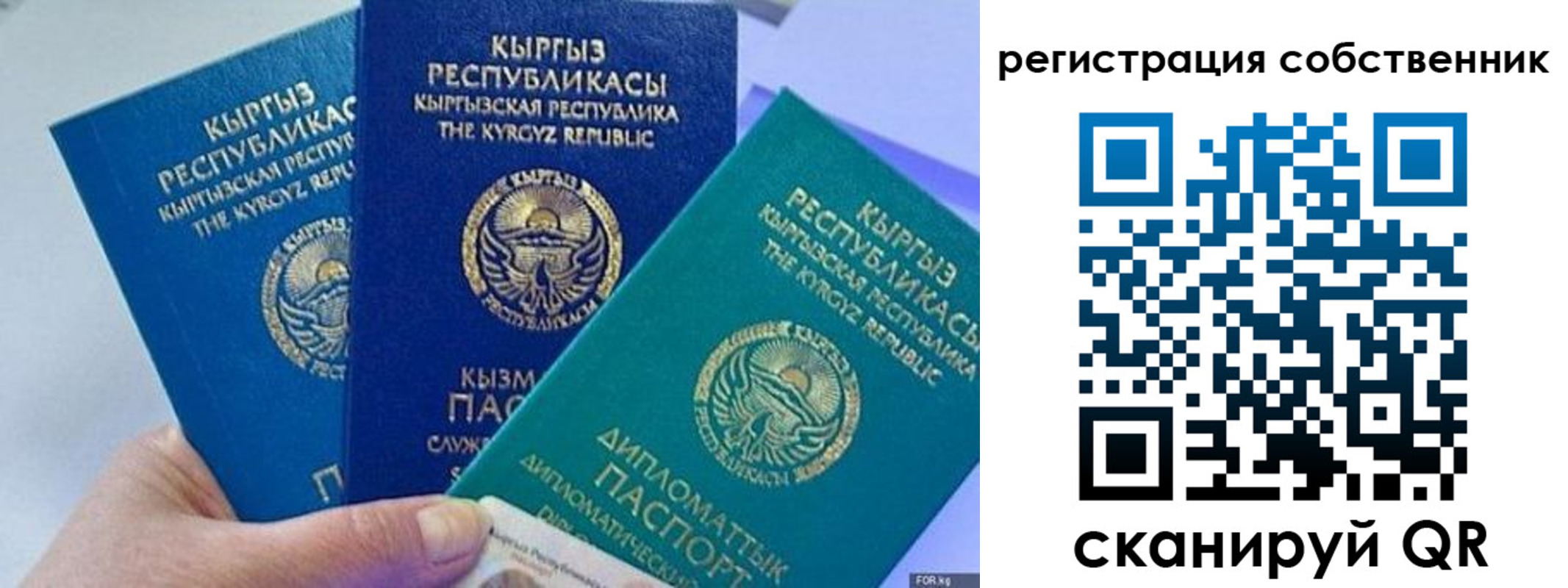 регистрация в Покрове